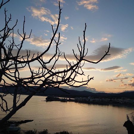 Skizenas Waterfront Apartments ハラキ エクステリア 写真
