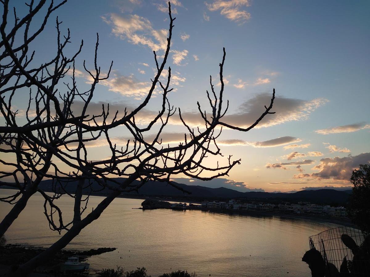 Skizenas Waterfront Apartments ハラキ エクステリア 写真