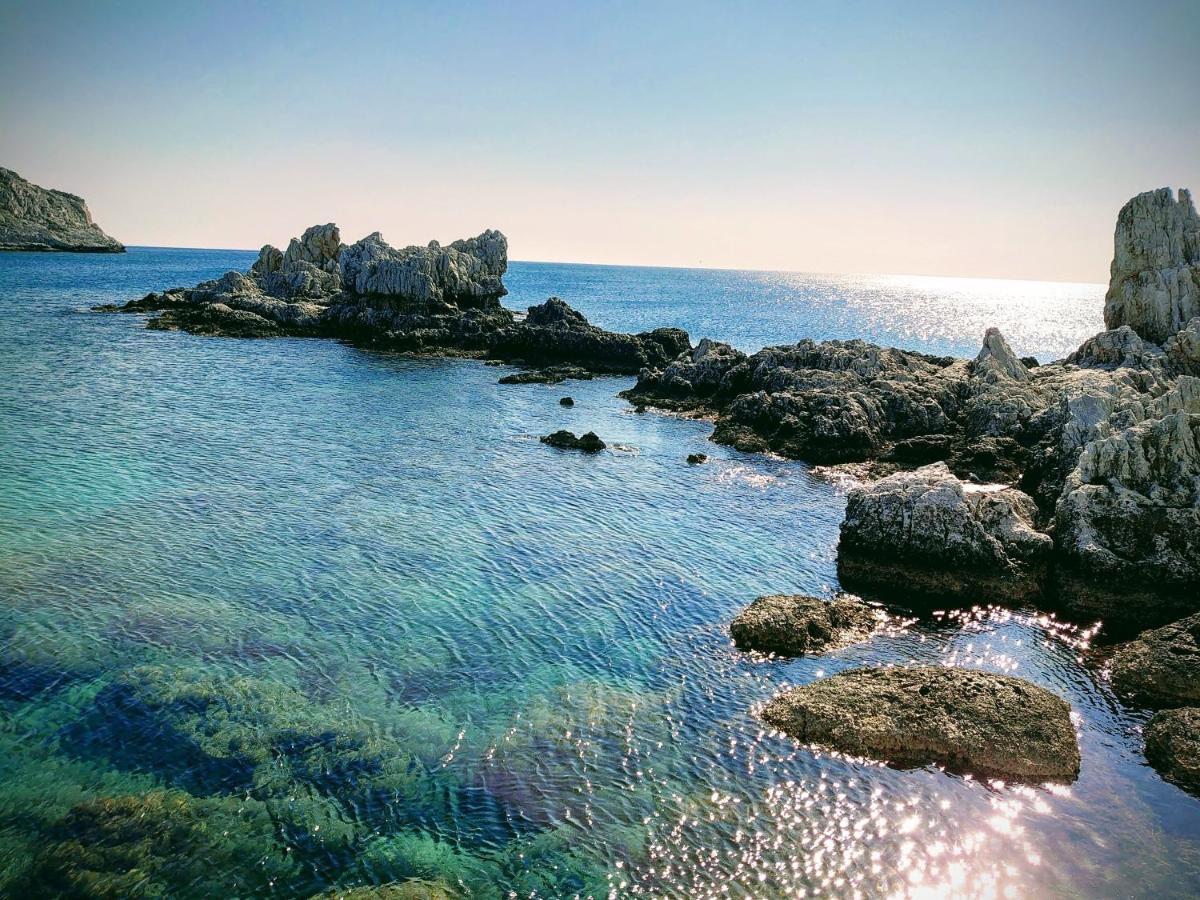 Skizenas Waterfront Apartments ハラキ エクステリア 写真