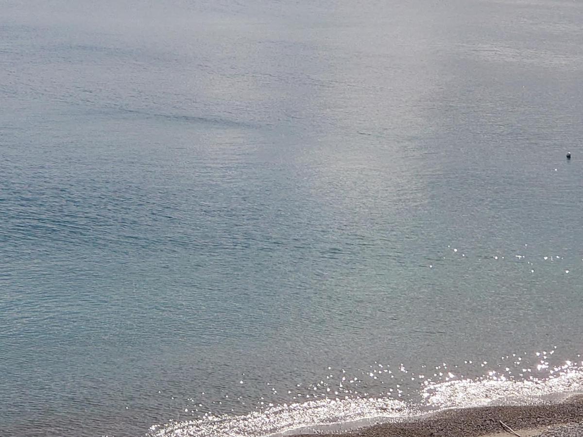 Skizenas Waterfront Apartments ハラキ エクステリア 写真