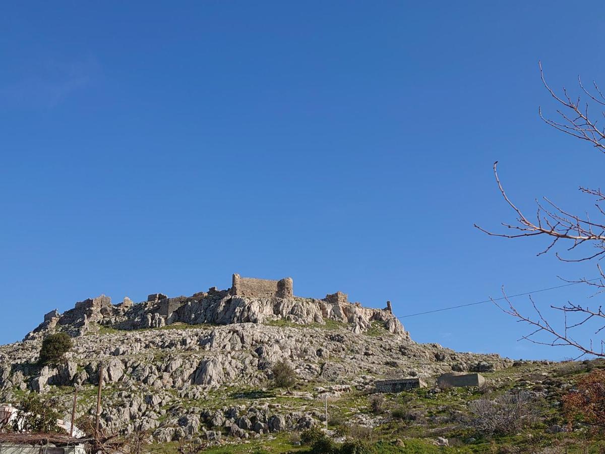 Skizenas Waterfront Apartments ハラキ エクステリア 写真