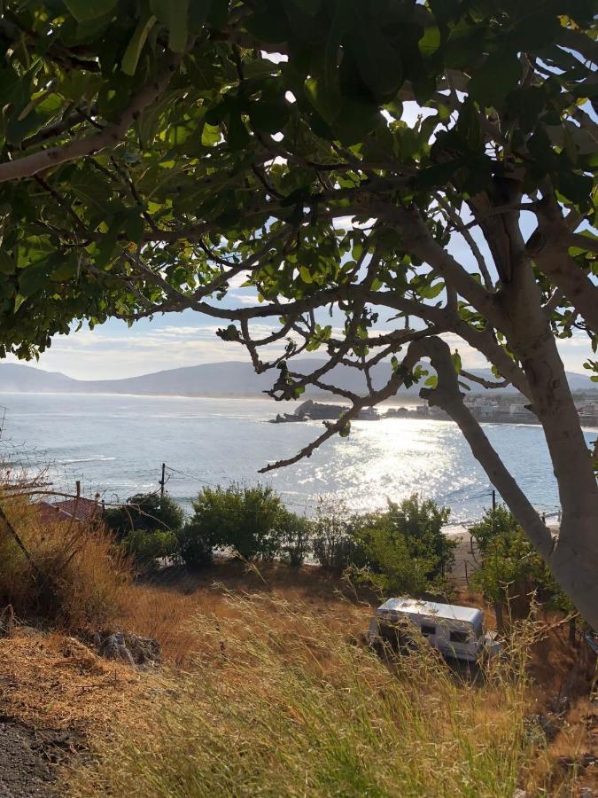 Skizenas Waterfront Apartments ハラキ エクステリア 写真