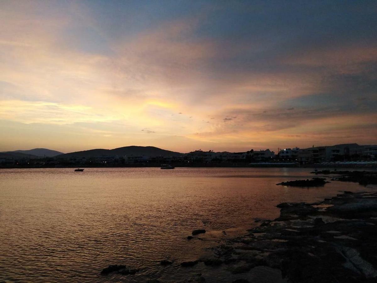 Skizenas Waterfront Apartments ハラキ エクステリア 写真